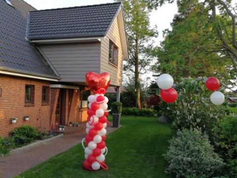 Ballonfuchs - Visual