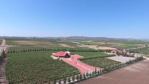 Bodega Pago de las Encomiendas