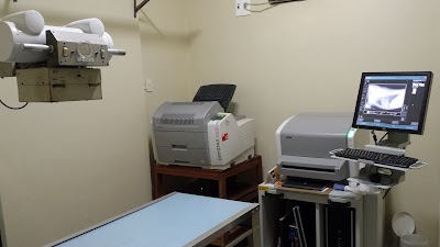 veterinary-care