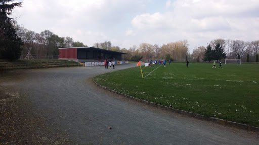 TSG-Stadion Schillstraße