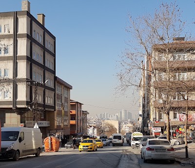 Photos of CEMEVİ