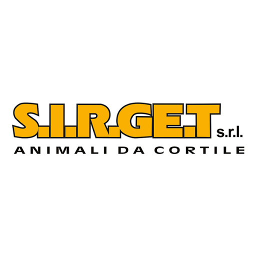 S.i.r.g.e.t. S.r.l. - Visual