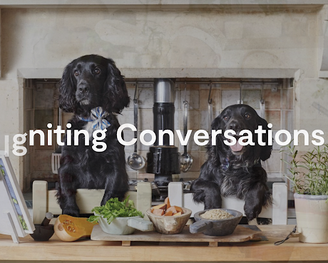 Wild Card PR by null