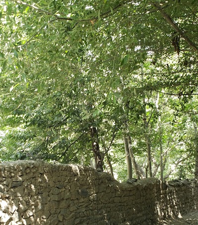 باغ خان علی