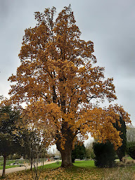 Photo n°8 de Le Clos des Augers - Chambres d'Hôtes et roulotte à Azay-sur-Cher (Chambre d'hôtes)
