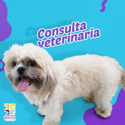 Clínica Veterinaria Amica