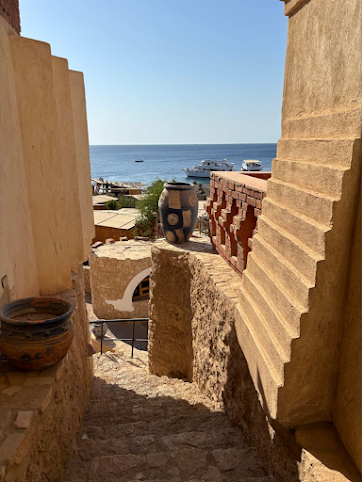 Umbi Sharks Bay Diving Village by null