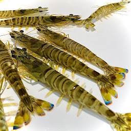 Photo n°17 de Atelier du Nord à Concarneau (Restaurant)