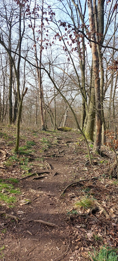 Mühlenberg - Thumbnail