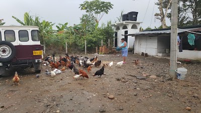 Photos of Finca TESORITO