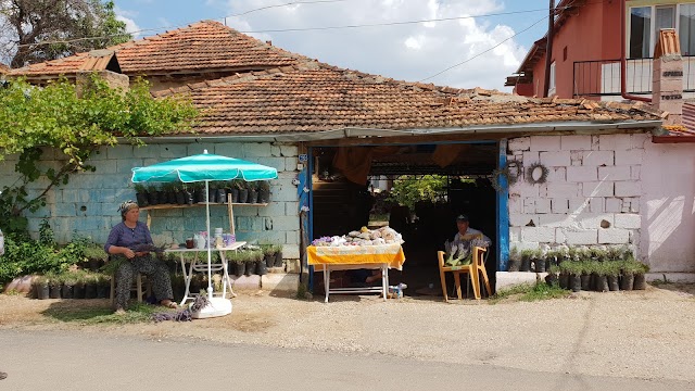 Lavanta Kokulu Köy Kadın Girişimi Üretim ve İşletme Kooperatifi