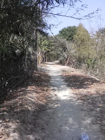 Photos of Khajuria Forest Camp