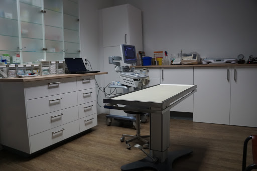 Dr. Pay Wiemer Tierarzt Kleintierpraxis - Thumbnail
