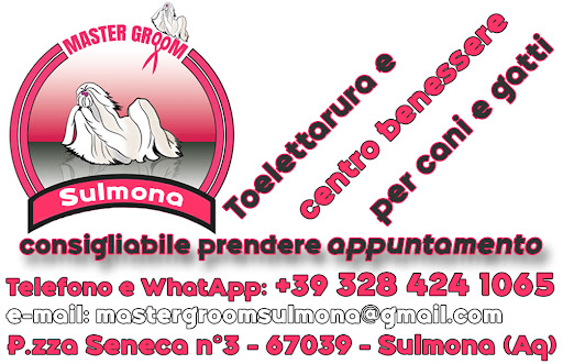 Master Groom - Visual