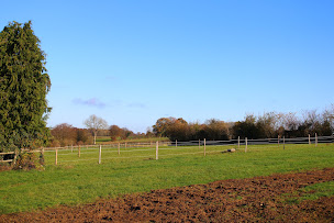 Photo n°22 de Les Grands Ducs Équitation à Aurseulles (Écurie)