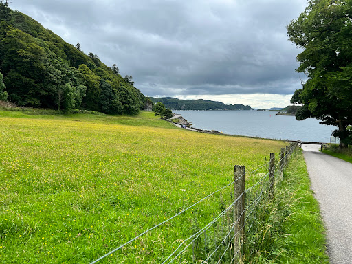 Dunollie Wood - Thumbnail