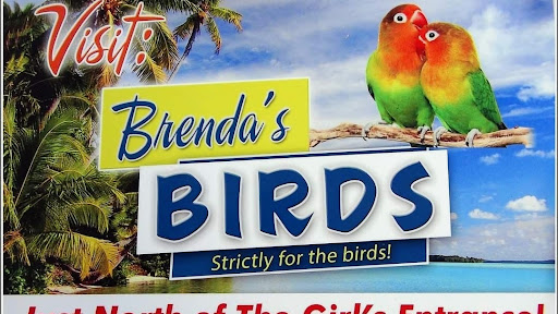 Brenda's Birds Gallery - United States