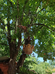 Photo n°12 de Guinguette le Boui Boui du pays à Varen (Bar)