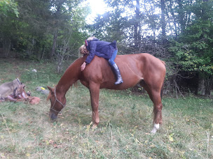 Photo n°19 de Chevauchée del Bronco : Balades et randonnées à cheval Saint Agnan en Vercors Drôme à Saint-Agnan-en-Vercors (Centre de randonnée équestre)