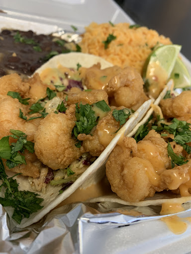 FishFry Wright - Visual