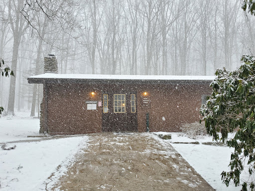 Blue Spruce Lodge - Thumbnail