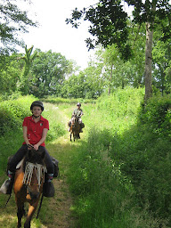 Photo n°26 de Le Moulin de Vaux à Nochize (Hostellerie)
