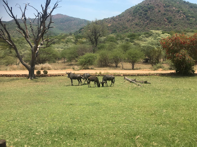 Photos of leeupoortchalets.co.za