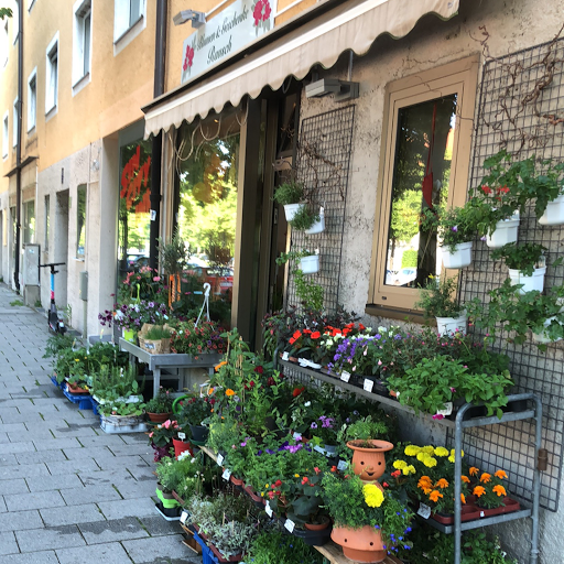 Blumen Rausch