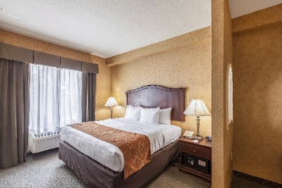 Photos of Comfort Suites Alamo/River Walk