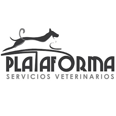 Photos of Plataforma de Servicios Veterinarios