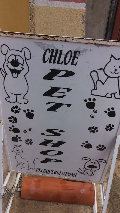 Photos of Chloe Pet Shop
