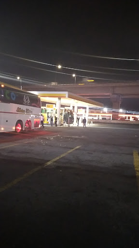 Ecobus - Visual
