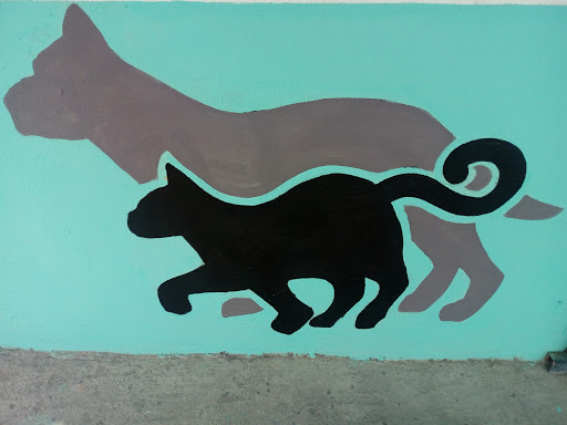 veterinaria cosmopolis - Thumbnail