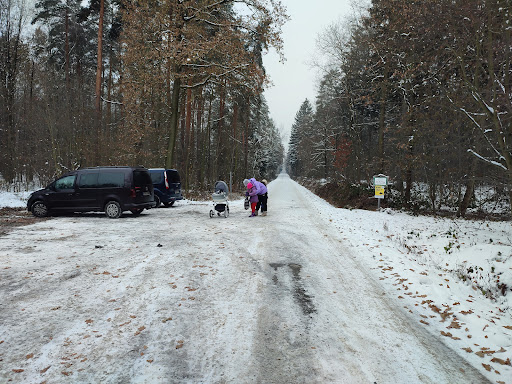 Parkplatz/Holzlagerstelle am Zellwald - Thumbnail