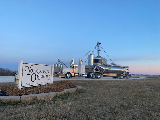 Yorktown Organics
