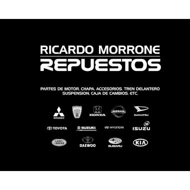 RICARDO MORRONE REPUESTOS, Author: RICARDO MORRONE REPUESTOS