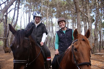 Photos of Muriwai Beach Horse Treks Auckland