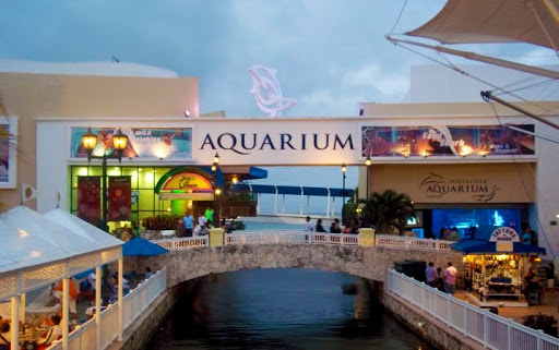 Interactive Aquarium Cancún - Thumbnail