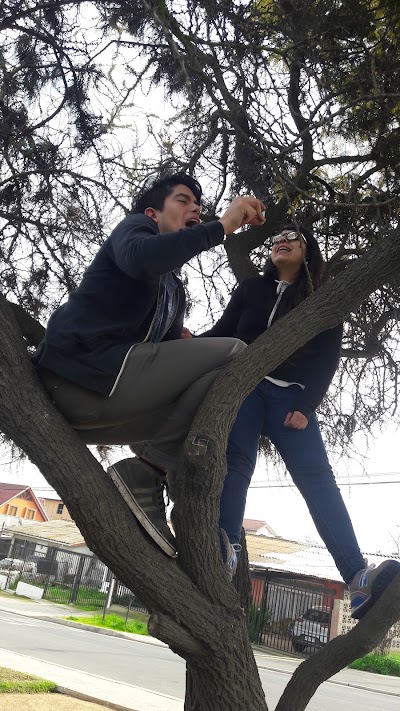 Photos of Plaza Cavada