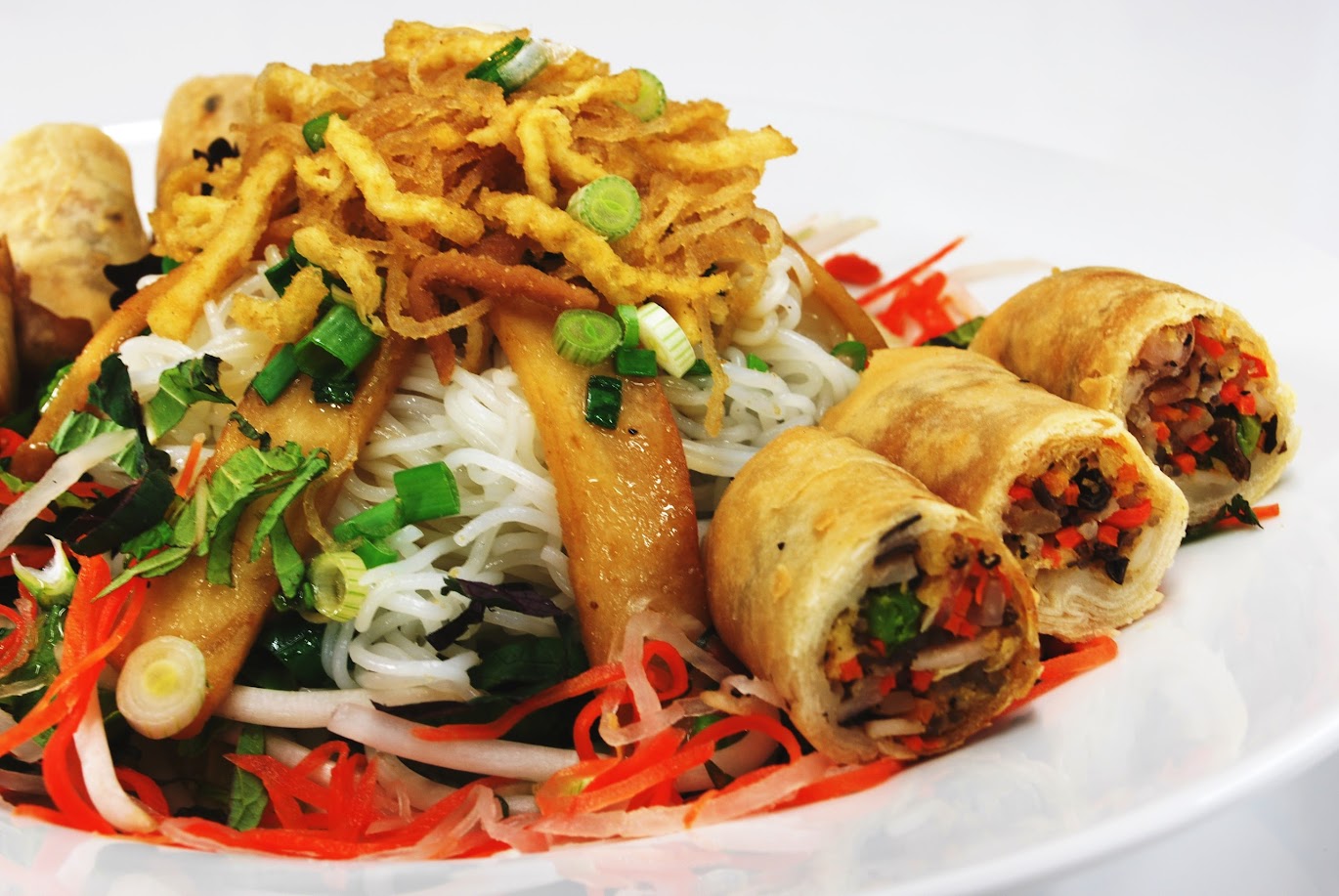 Vegetarian House Vegan