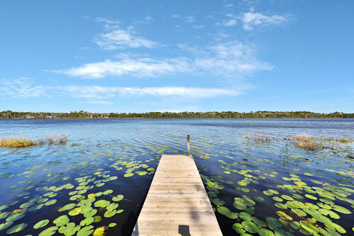 Florida Pines Realty LLC