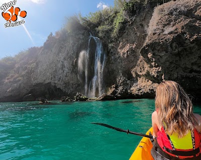 travel-agency