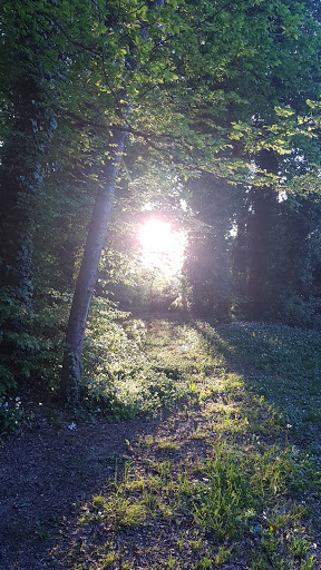 Parco comunale ''La Risaretta'' - Thumbnail