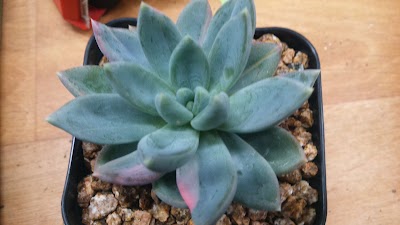 Photos of 동양도서관