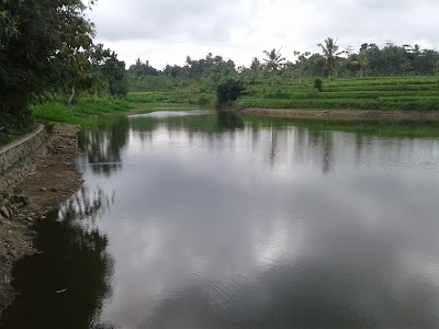 Photos of Ayha Resto
