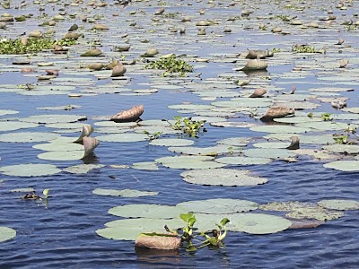 Photos of Wirawila Tissa Sanctuary