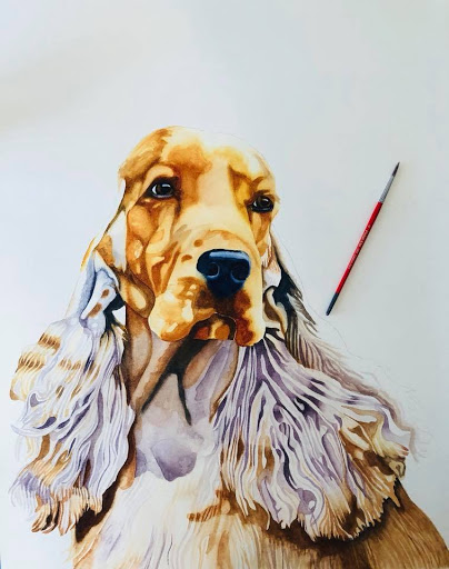 Dog Tired Studio