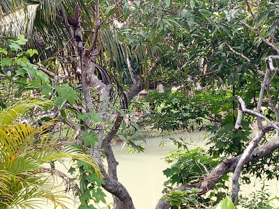 Photos of JEMBATAN ASANAE