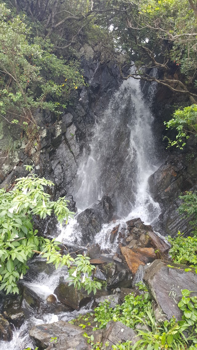 湯泊温泉