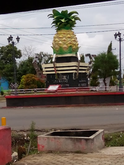 Photos of TUNAS (Tugu Nanas)